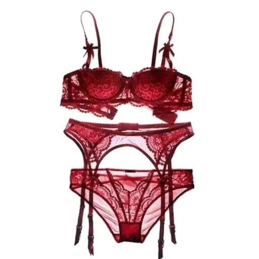 House Of Dasein Seductress Lace Bra Panty Garter Set - Red - 75B Or 34B