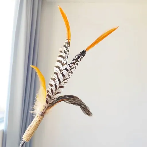 CHIYOOSU Cat Teaser Wand with Feather Bell Red Arrow Jinyu replacement head