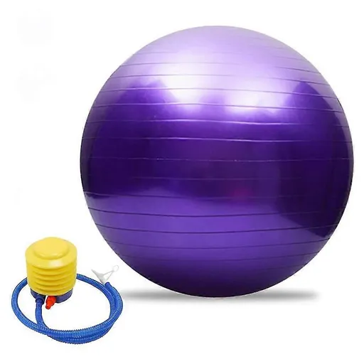 65cm Exercise Ball Extra Thick Yoga Ball Fitness Balance Trainer with Air Pump for Pilates Yoga Home Office Gym - Purple