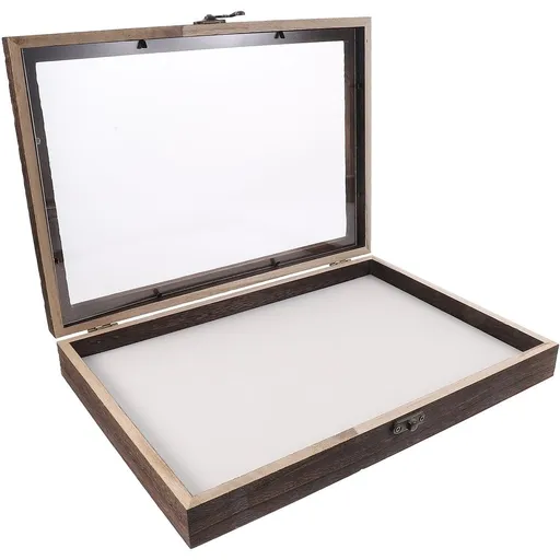 Insect Specimen Box, Wood and Acrylic, Clear Lid, Home Display, Assorted Colors, 1Set
