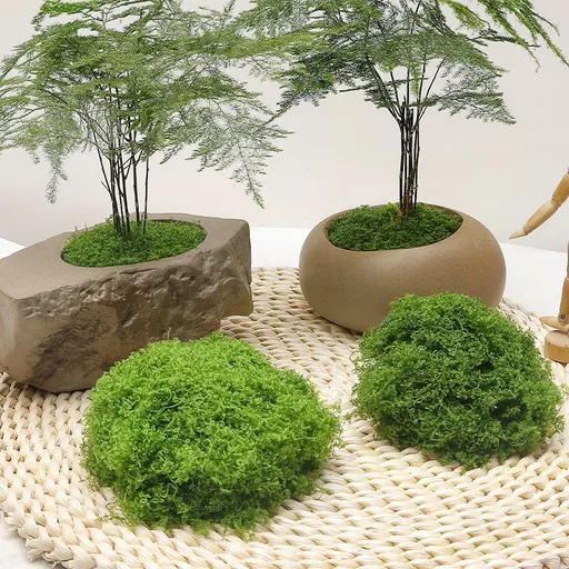 diy artificial moss lawn-Dark Green Filamentous Moss 200g