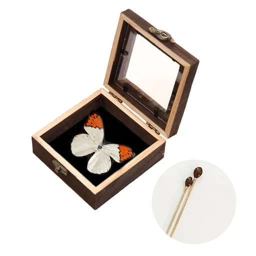 Insect Display Case Frame,Butterfly Shadow Box with Top Eva Foam Pinning Board, Insect Display Box,Butterfly Display,Riker Display