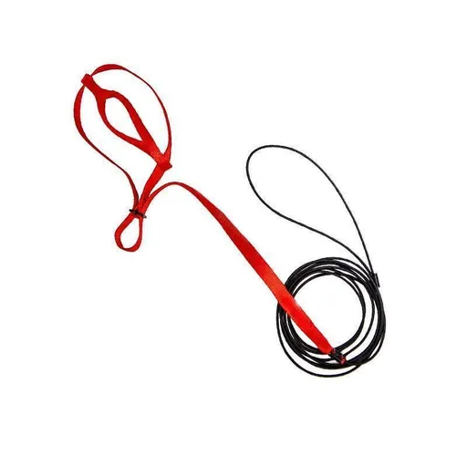 S Pet Parrot Bird Harness Lead Leash Flying Training Rope Cockatiel Outdoor - Red