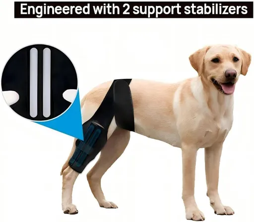 Dog Knee Brace for Torn ACL Hind Leg，Comfortable and Adjustable Support Brace with Two Stabilizer，Dog Leg Braces for Back Leg with Extra Support，Arthritis Relief and Surgery Recovery (S)