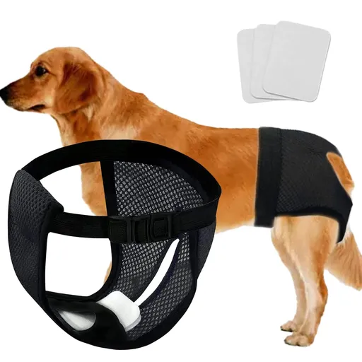 Every Pet Reusable Diapers with 3 Replace Diaper,Menstruation Diapers Panties Adjustable Sanitary Briefs (1PCS Black,X-Large)