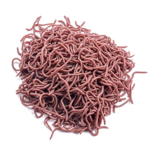50pcs Red Worm Soft Lure Earthworm Shrimp Bass Fishing Bait