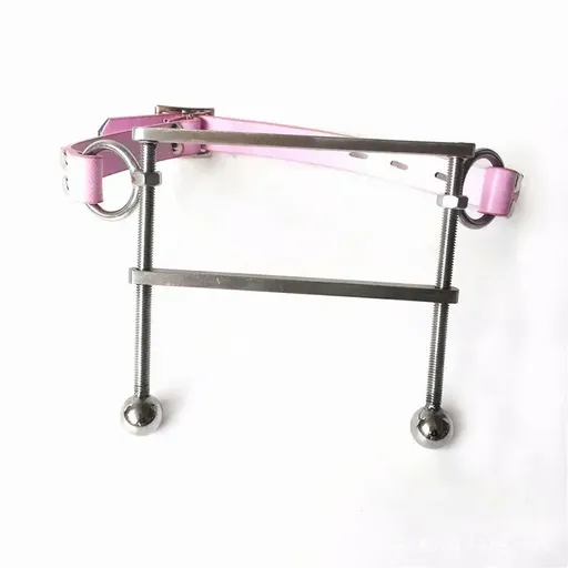 House Of Dasein Metal Open Mouth Gag Tongue Flail Bdsm Bondage Restraints - Pink