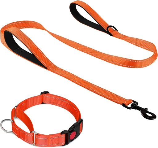 Martingale Dog Collar(16-20"), 6FT Double Handle Leash for Training, Orange -