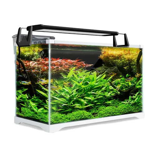 Aquarium Starter Kit Starfire Glass 39L with Filter Pump