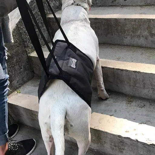 Pet Dog Support Harness Walking Vest Dog Sling Support Sling Gray - L