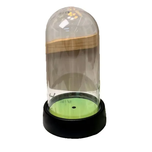 acrylic Display Dome Cloche, Clear Bell Jar with Black Base, Decorative Display Case, Home Decor, 1 Piece