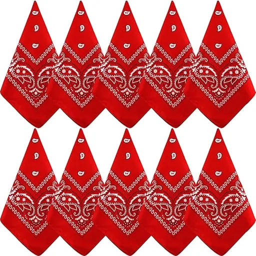10 Pack Red Paisley Bandanas 55x55cm Polyester Headband Scarf Tie Accessories
