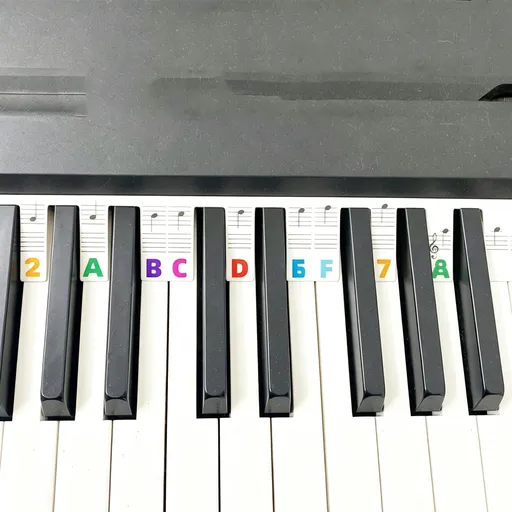 Black & Color Combo 2pcs 88 Key Piano Staff Note Strips
