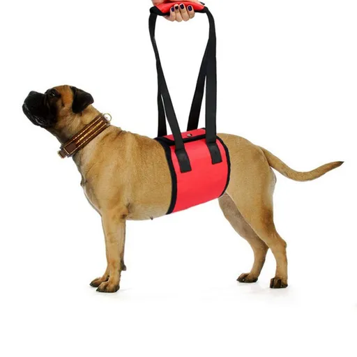 Dog seat belt, pet dog support seat belt, rear lift seat belt, walking assist belt, full body seat belt, support sling, padded vest