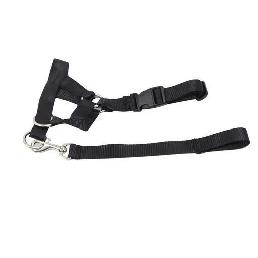 Soft Dog Head Collar, No Pull Training Tool for Small Medium Large Dogs on Walks, Gentle Training Collar and Control for Heavy