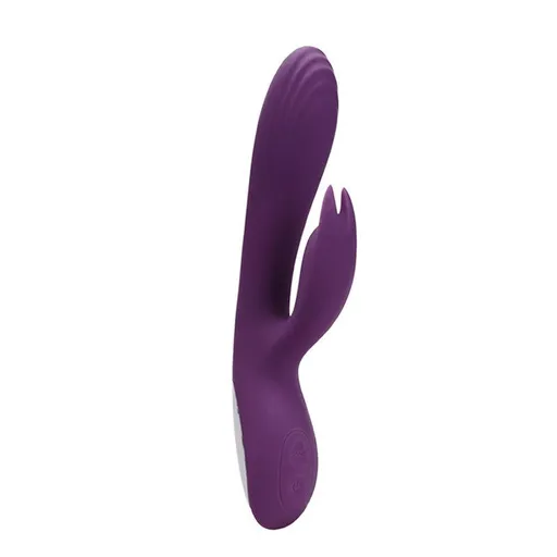 House Of Dasein Female Silicone Vibrator Usb Charging Frequency Conversion - Purple