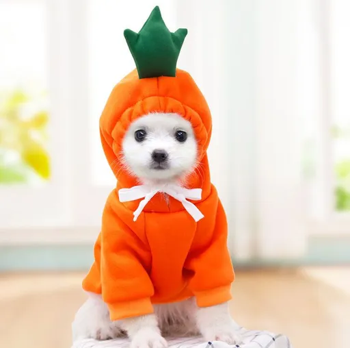 Shine Pet Dog Sweatshirt Heart Design Cloth Drawstring Carrot Sweat L (bust 50CM about 4.50 kg-6.00 kg pets)
