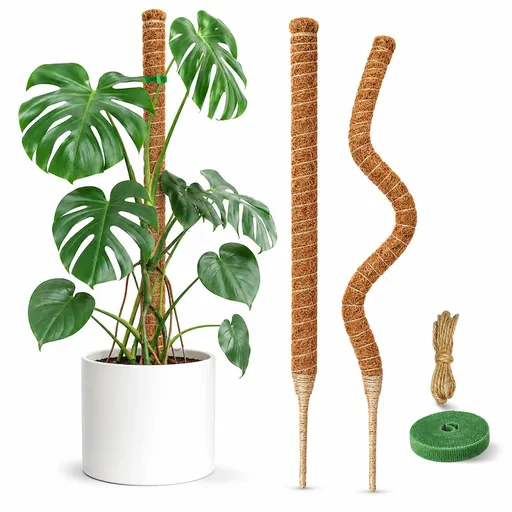 4Pack 20in Coir Moss Poles for Climbing Indoor Plants like Monstera, Pothos, and Philodendron (Brown)