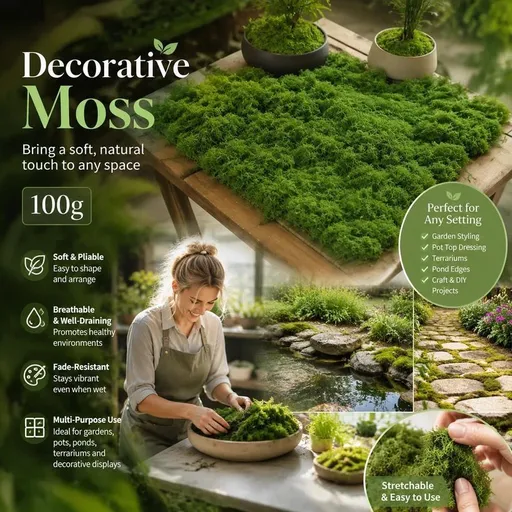 Dark Green Preserved String Moss Indoor Plant Pot Top Dressing 100g