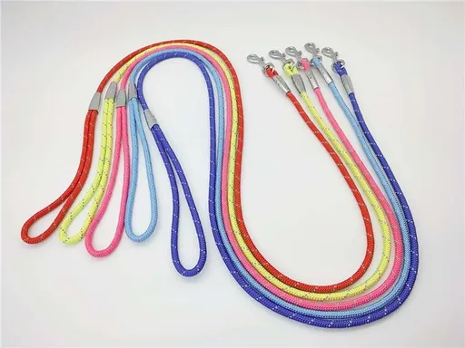 Zichen Nylon Dog Traction Rope Alloy Buckle Sky Blue 0.6
