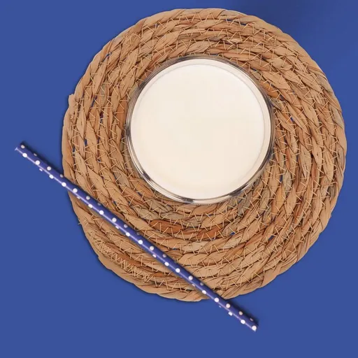 4Pcs Woven Seagrass Placemats Round Straw Coasters Non Slip Heat Insulation Pads for Coffee