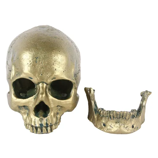 Resin Human Skull Model Halloween Props Home Decorations High Fidelity Skull Head Sculpture Life Size, Bronze