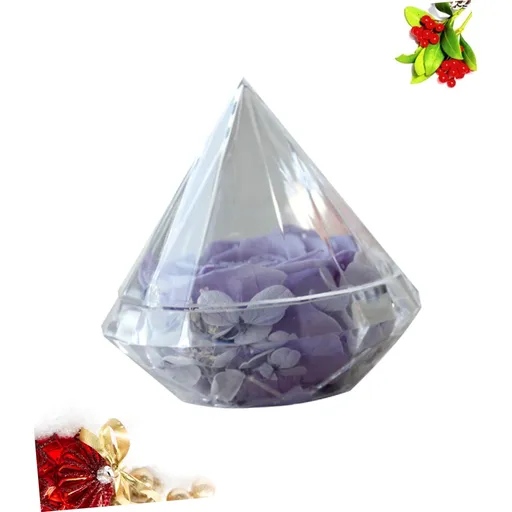 Box Summer Earrings Romantic Gift Door Stoppers for Wall Vintage Vinyl Records In Glass Dome Metal Leaf Sculpture for Table Votive