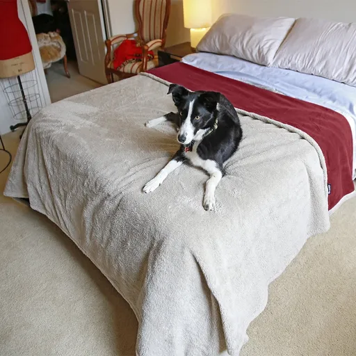 Waterproof Pet Blanket, Pee Urine Proof Dog Blanket Cover for Couch Bed Furniture Protector, Liquid Proof Blanket for Small Medium Dogs, Buffale Red/Tuape, 50” x 60”. Wine/Tuape