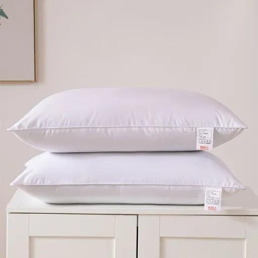 Low Bed Pillows 2 Pack Soft Brushed Fabric 48 x 74 cm Plush Fibre Fill Fast Rebound Support Structured Piped Edges