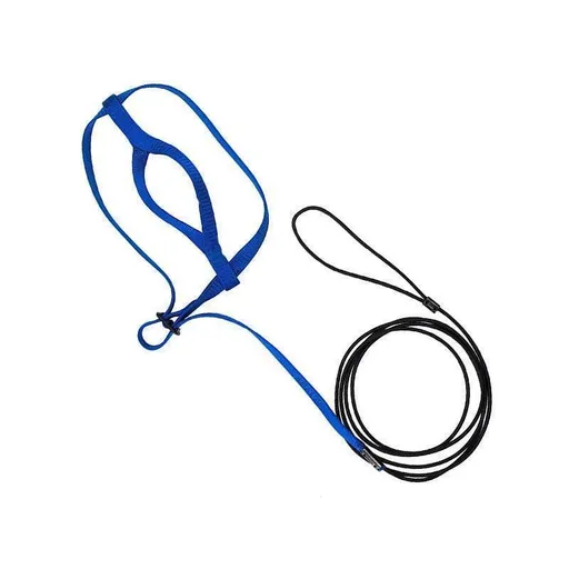 M Pet Parrot Bird Harness Lead Leash Flying Training Rope Cockatiel Outdoor - Blue