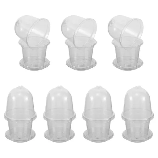 Transparent Plant Germination Cups, Pet, Humidity Dome, Home Gardening, 10Pcs