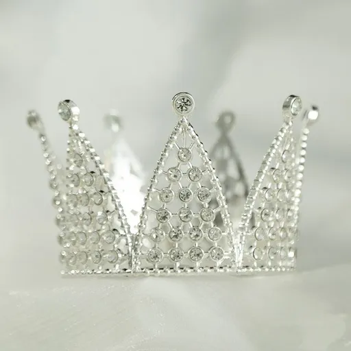 8 Pieces Mini Crowns for Flower Bouquets Mini Crown Cake Topper Small Princess Cake Decoration for Women Lady Girl Bridal