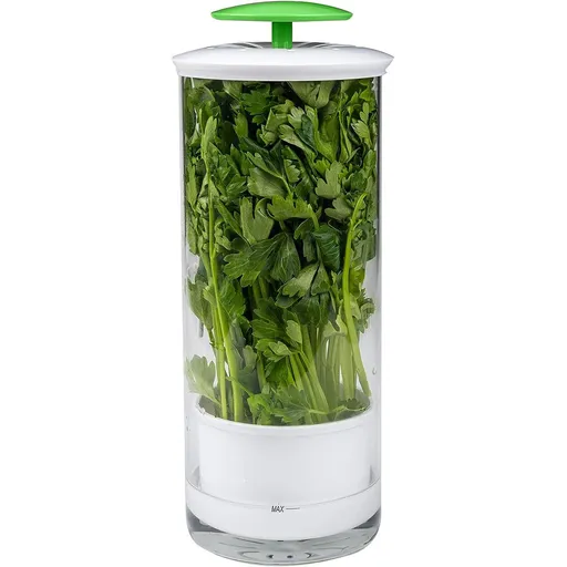 Herb Keeper and Herb Saver – Glass Storage Container for Cilantro, Mint, Parsley, Asparagus, Keeps Greens Fresh for 2-3 Weeks（green）