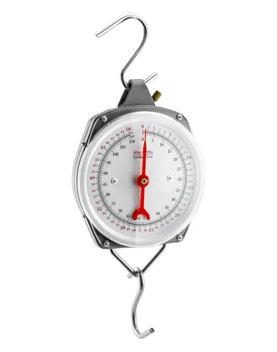 Precision Hanging Scale, 110lbs / 50kg Capacity, Dual Unit, Heavy Duty