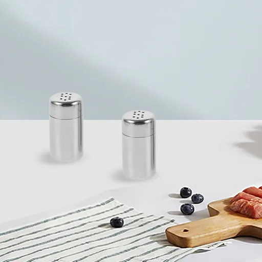 Portable Stainless Steel Condiment Shaker Plated Silver for Home 4Pcs