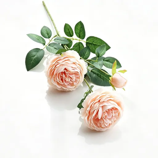 Artificial Champagne French Peony, Gentle Decor, 5 Pack