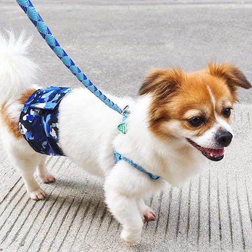 Male Dog Belly Band Wrap Reusable Washable Diaper for Marking Incontinence with Mesh Lining and Adjustable Fit for Home and Outdoor Walks (L, Blue)