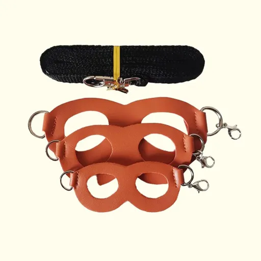2-Pack Orange Small Mammal Harness Set – 6 Pcs (S/M/L ×2) + 2×1.5m Leashes for Secure Outdoor Handling