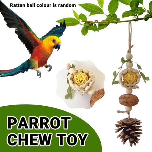 1-Piece Hanging Parrot Chew Toy with Pinecone and Woven Ball