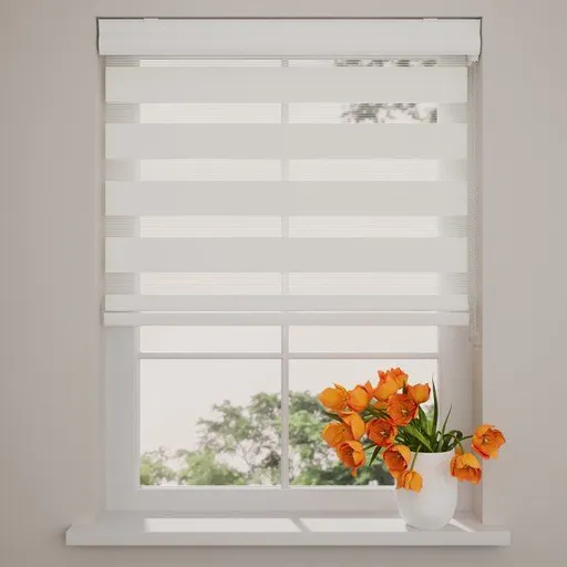 Day-Night Zebra Roller Blind, White Light-Filtering Window Shade, 50 x 120 cm