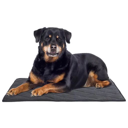Chew Proof Dog Crate Bed Pad - Indestructible & Water Resistant for Aggressive Chewers, Durable Design for Dog Cage Black 43*58cm