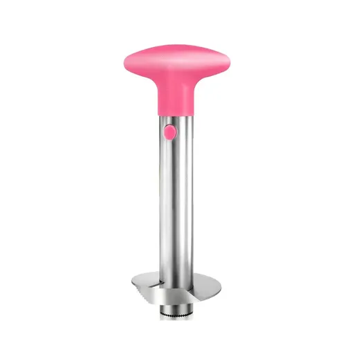 Stainless Steel Pineapple Corer Slicer Peeler Cutter Tool Easy Pineapple Cutter - Pink