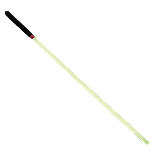 House Of Dasein Bdsm Training Acrylic Cane Impact Play Sting - Green