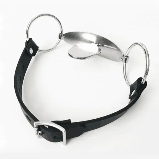 House Of Dasein Bdsm Full Steel Tongue Bondage Restraint Mouth Plug Gag - Silver