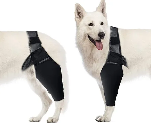 Dog Elbow Support Brace Compression Sleeve for Arthritis Dysplasia and Calluses, Increases Joint Temperature and Improves Circulation for Small to Medium Breeds Size M