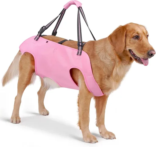 Dog Support Harness Oxford Cloth Mobility Assistance Strap, Pink,XL