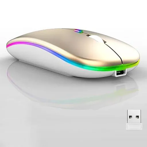Wireless Bluetooth Mouse,LED Dual Mode Rechargeable Silent Slim Laptop Mouse,Portable(BT5.2+USB Receiver) Dual Mode Computer Mice
