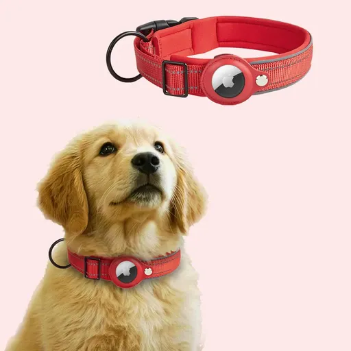 Dog Collar Anti-Lost Reflective Adjustable Size M Red