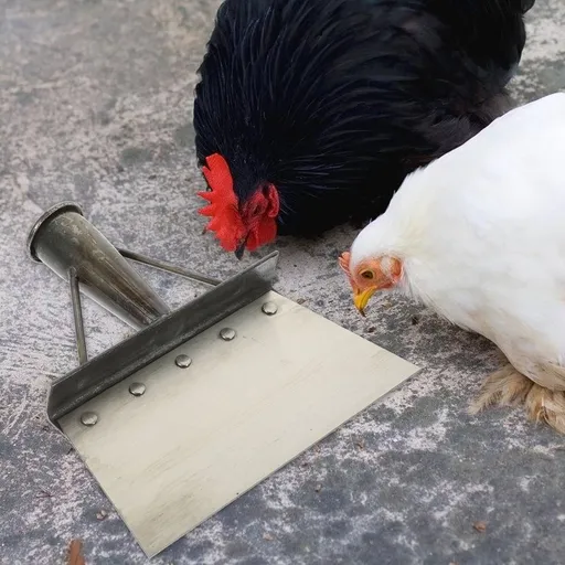 Metal Cleaning Shovel for Poultry Farms, Garden , and Outdoor Maintenance Tools