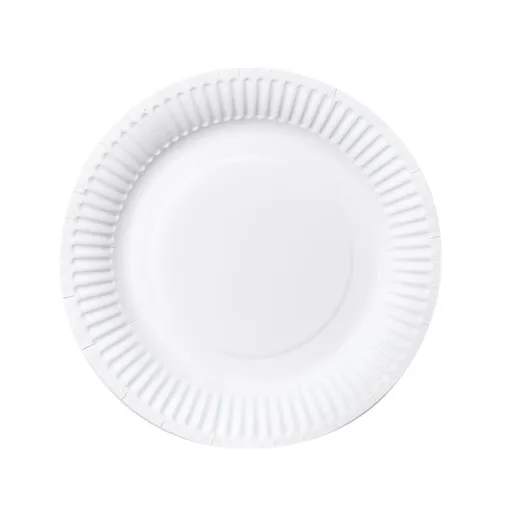 Disposable Paper Plates,50 Pcs 6 Inch White Party Plates,Sturdy DIY Dinner Plates for Birthday Celebration and Craft Projects,5.9in